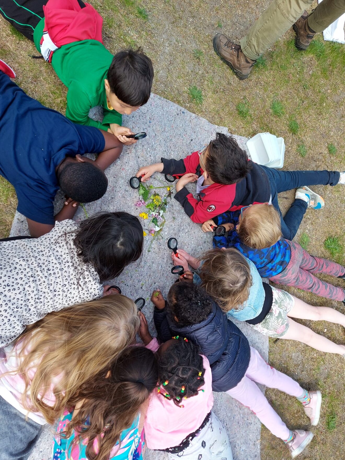 Nieuws uit groep 3/4