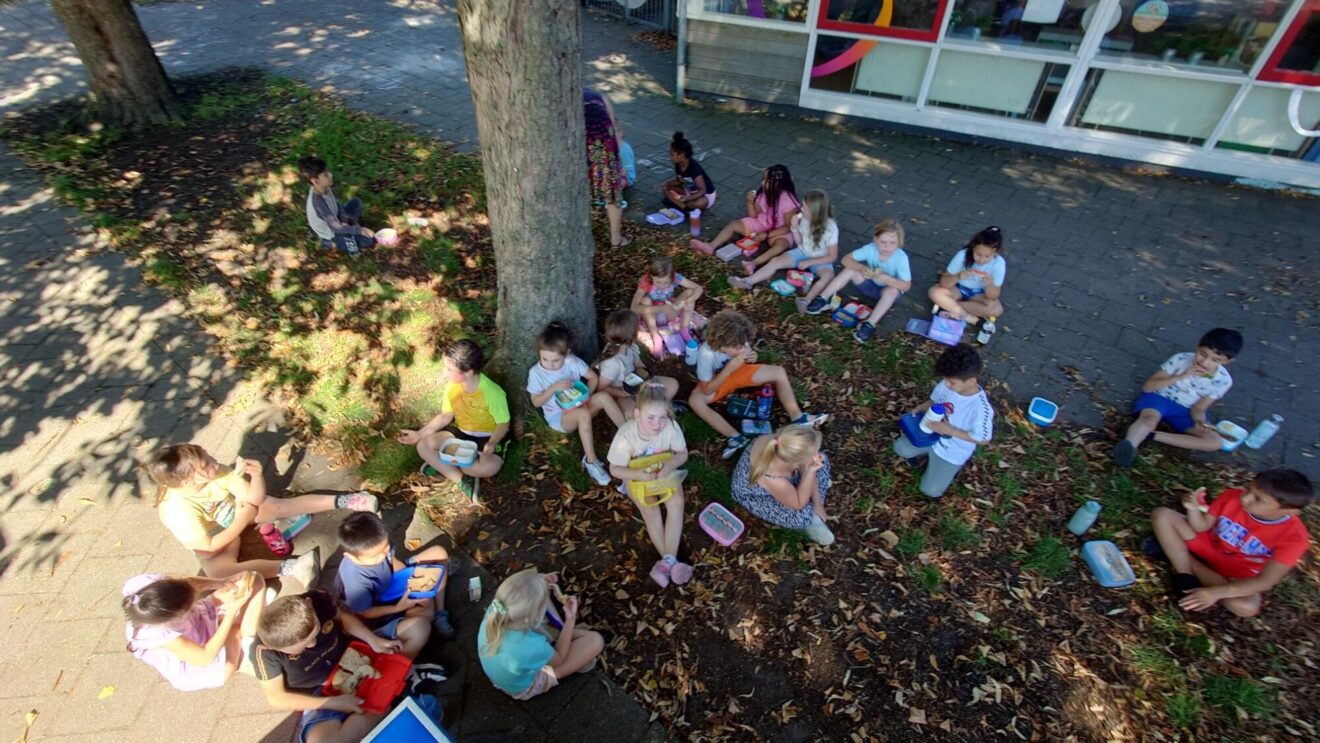 Nieuws van groep 3/4